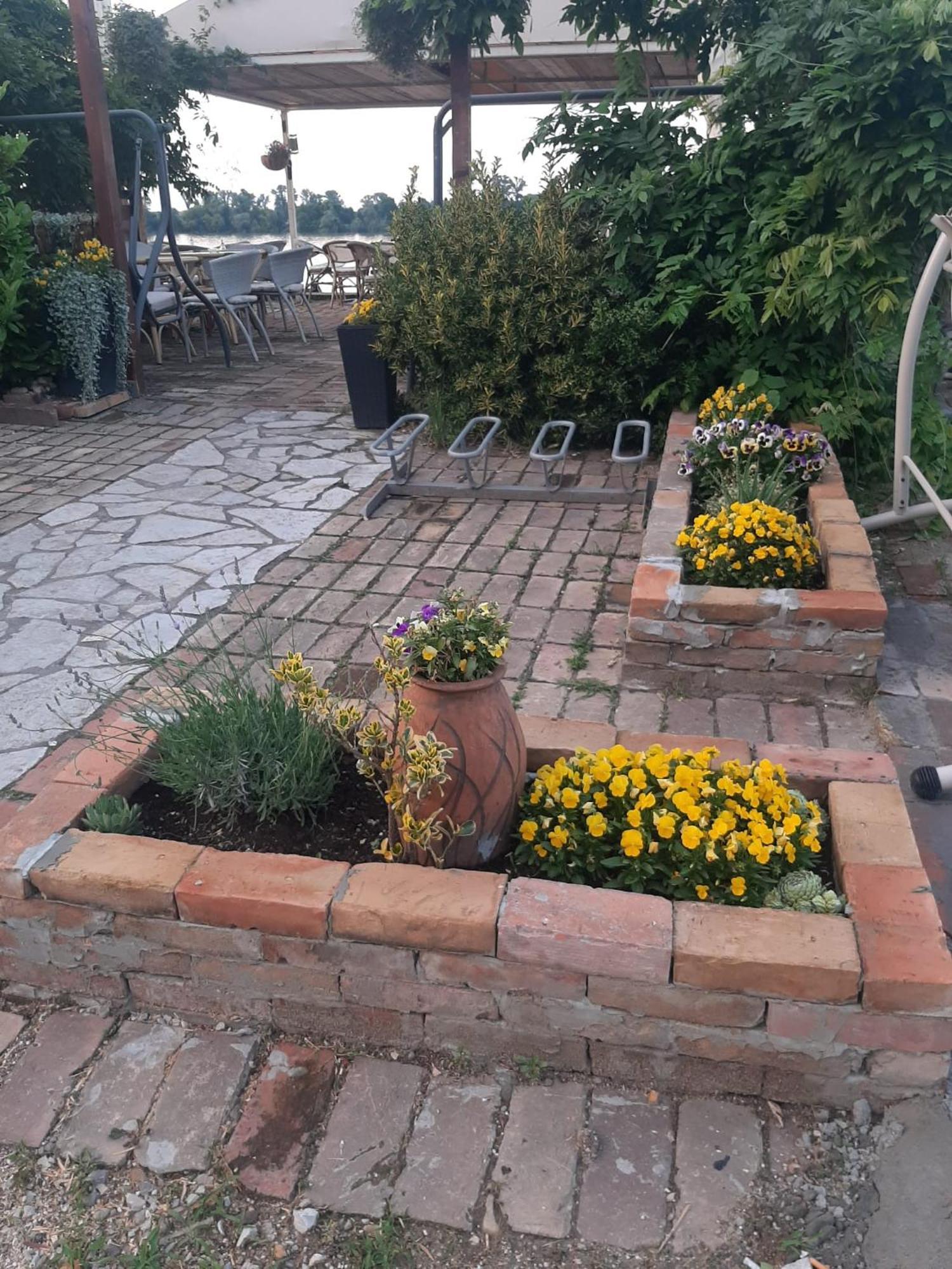 River Hostel Belgrad Zewnętrze zdjęcie