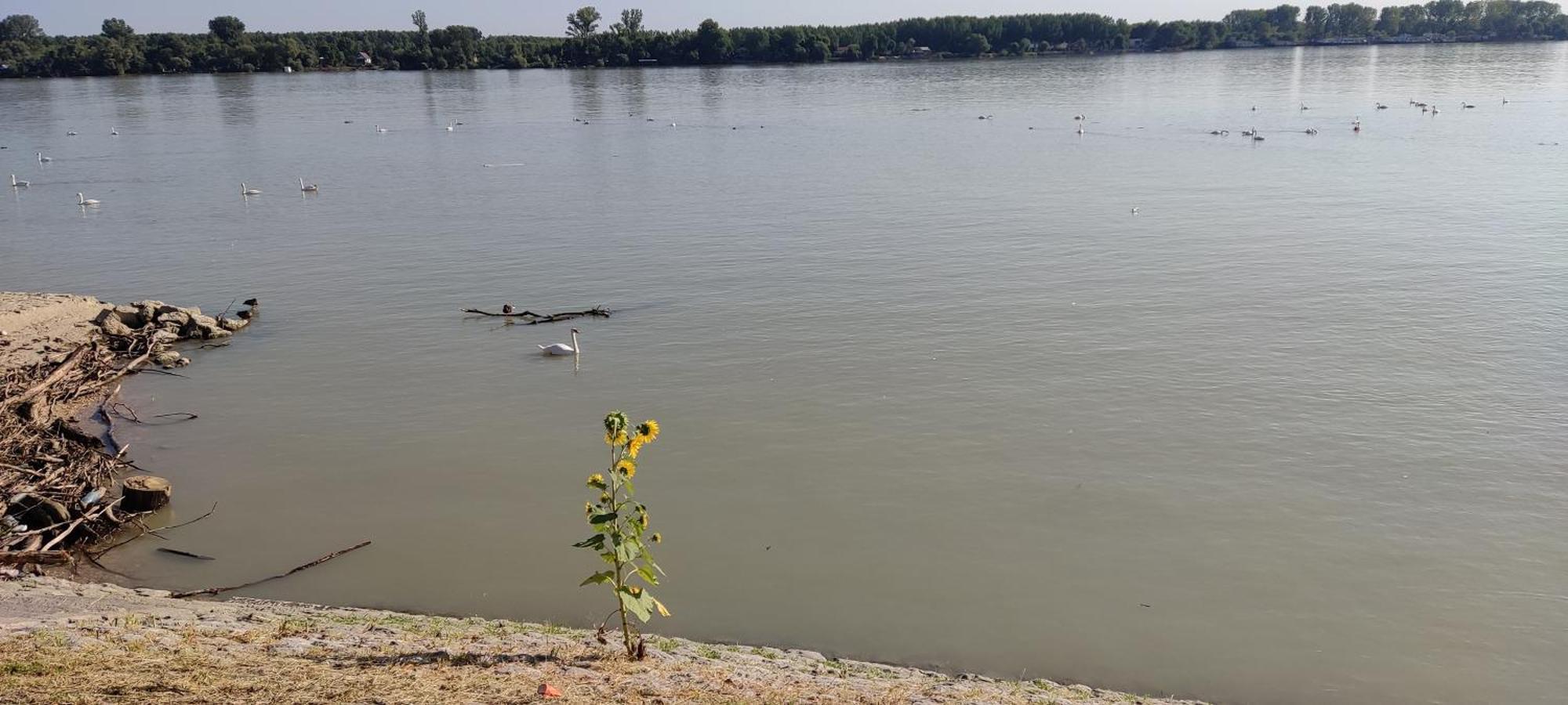 River Hostel Belgrad Zewnętrze zdjęcie